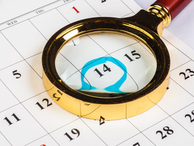 calendario-do-bolsa-familia-de-novembro-ja-esta-disponivel.png
